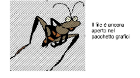 EditImage4.png