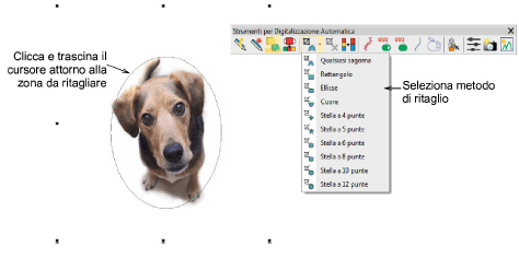bitmaps00063.png