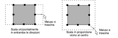 transform00023.png