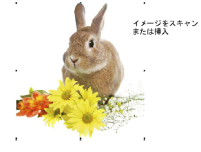 ColorPhotoStitch1.png