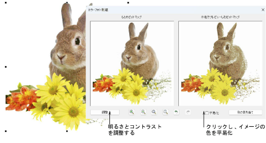ColorPhotoStitch100058.png
