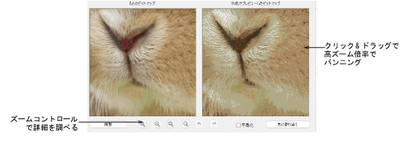 automatic_photos00053.png