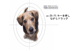 CropDog11.png