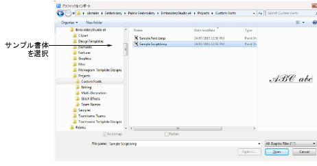 InsertScriptSample.png