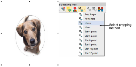 Crop bitmap images