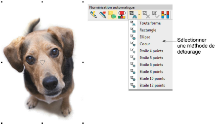 CropDog1.png