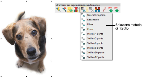 CropDog1.png