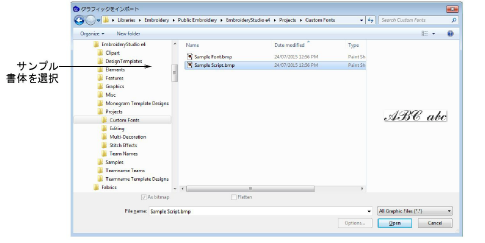 InsertScriptSample.png